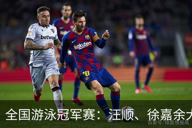全国游泳冠军赛：汪顺、徐嘉余大幅领先夺冠